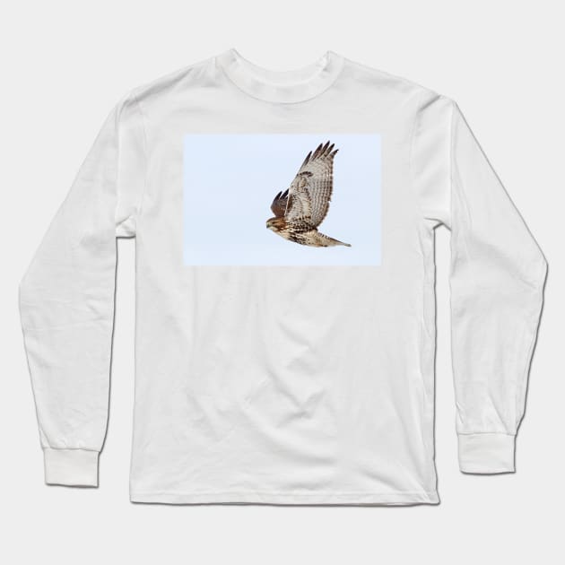 Red-tailed Hawk Long Sleeve T-Shirt by Jim Cumming